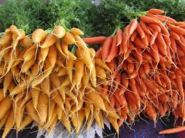 Clark County Senior Discounts carrots