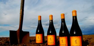 Walla Walla Wineries Palencia Wine Company
