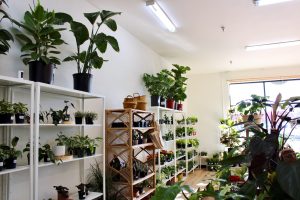 The Little Plant Shop Pasco