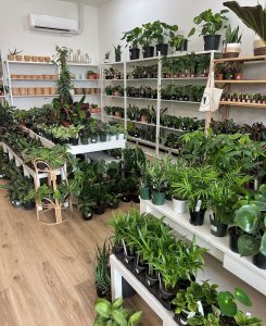 plant shops in the Tri-Cities