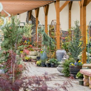 plant shops in the Tri-Cities